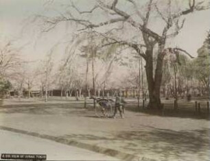 Ansicht des Ueno-Parks mit einem Rikscha-Fahrer