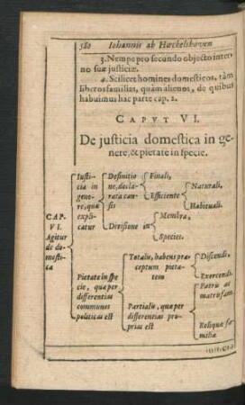 Caput VI. De iusticia domestica in genere & pietate in specie.