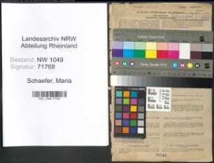 Entnazifizierung Maria Schaefer , geb. 27.06.1909 (Lehrerin)