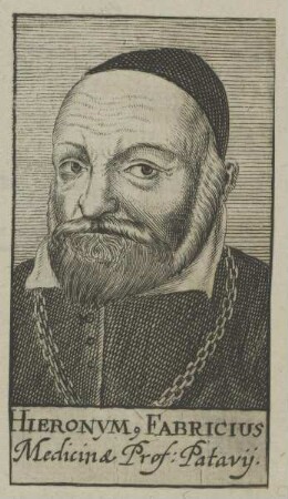 Bildnis des Hieronymus Fabricius