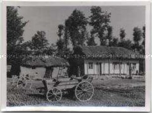 Pferdewagen vor einem rumänischen Bauernhaus