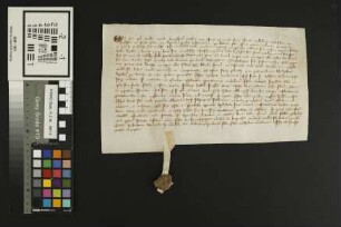 Herrnsheim: Litera sup. 20 Schilling ?