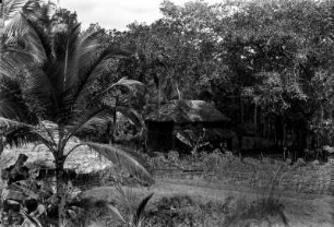 Dorf (Deutsche Indien-Expedition 1926/1929 - 5. Südindien)