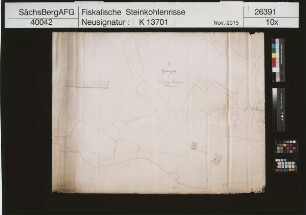 Zwickauer Brückenberg-Steinkohlenbauverein, Grubenfeld