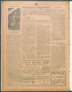 La piel de cocodrilo en el comercio