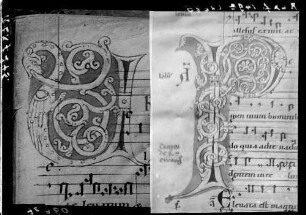 Reichenau Liederhandschrift