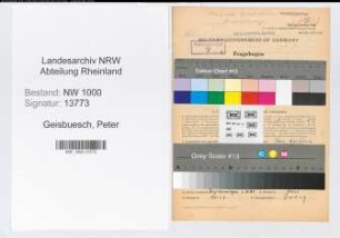 Entnazifizierung Peter Geisbuesch, geb. 08.01.1921 (Arzt)
