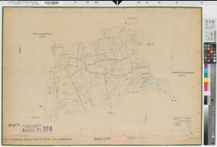 Walstedde (Drensteinfurt), Flurbereinigung Walstedde, Bl. 21 Schätzungskarte Bockum-Hövel Flur 1