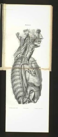 Pl. 34 et 35.