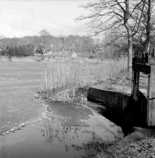 Mühlenteich mit Eisdecke: vorn rechts Mauer mit Wehr: dahinter Bäume: in der Mitte Schilf: am gegenüberliegenden Ufer Häuser zwischen Bäumen: Winter
