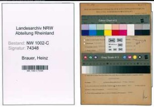 Entnazifizierung Heinz Brauer, geb. 07.08.1907 (Ingenieur)
