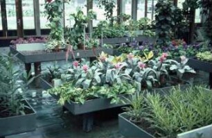 Fotografie: Gartenbautechnik, Gartenbautechnik-Gewächshaus
