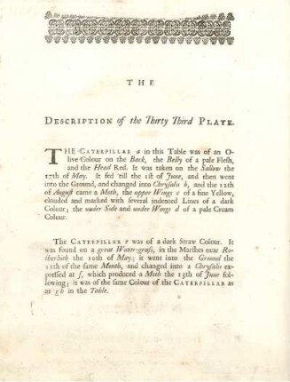 The Description of the Thirty Third Plate