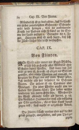 Cap. IX. Von Flinten. - Cap. X. Von Karren-Büchsen, Pistolen, Puffer und Terzrohr.