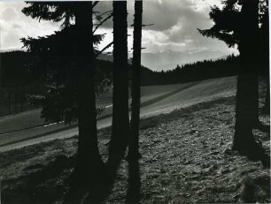 Im Hochschwarzwald