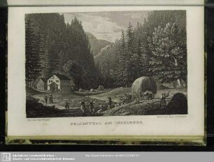 Felsenthal am Inselberg