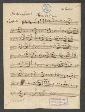Viola da braccio