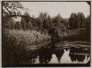 Partie in der Nähe der 4ten Kapelle, Ohlsdorfer Friedhof Hamburg
