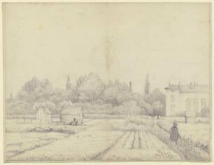 Flachsfeld in Neusalz an der Oder