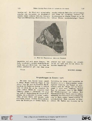 19/20.1919: Ausgrabungen in Emona 1916