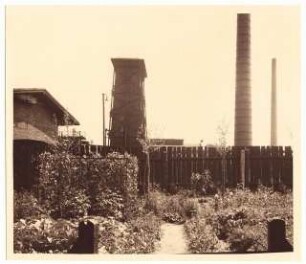 Kleingartenanlage, Hindenburg: Gemüsebeete im Kleingarten