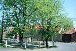 Dorfplatz mit Bushaltestelle und Feuerlöschteich