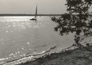 Knappensee bei Koblenz (Lohsa-Koblenz), Oberlausitz. Blick vom Strand über den See mit Segelboot