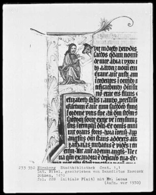 Lateinische Bibel — Initiale F (uit) mit dem Evangelisten Lukas, Folio 228recto