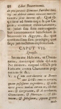 Caput VII. Synopsis.