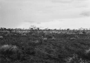 Tafelland : Blick über das Tafelland in Brasilien. Im Hintergrund tobt ein Gewitter.