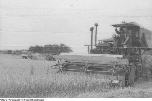 Ebersbach-Kalkreuth und Zabeltitz-Stroga. Getreide, Ernte, Juli 1953