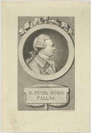 Bildnis des Peter Simon Pallas
