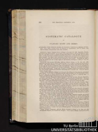 Systematic Catalogue Of Culinary Roots And Herbs.