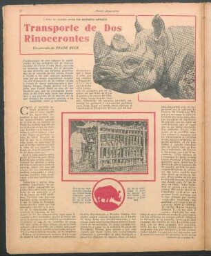Transporte de dos rinocerontes : Cómo he cazado vivos los animales salvajes