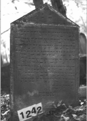 Grabstein 1242 (Index: 99900042) Material: Sandstein Zustand: leicht angewittert Maße HxBxT: 95x59x11 cm Beschreibung: Stele mit Dreiecksabschluss: Grabstein 1242