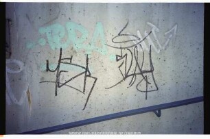 TeRA. | DUC | MSR STAY
