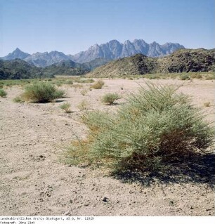 Mittlerer Sinai