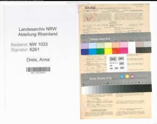 Entnazifizierung Anna Dreis , geb. 20.09.1918 (Kaufmaennische Angestellte)