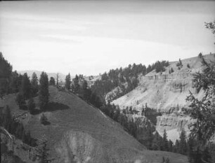 Basaltformation : Blick auf eine säulenförmige Basaltformation im Yellowstone Canyon.