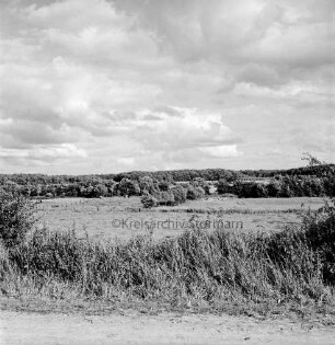 Blick über Knicklandschaft: im Hintergrund Hahnheide