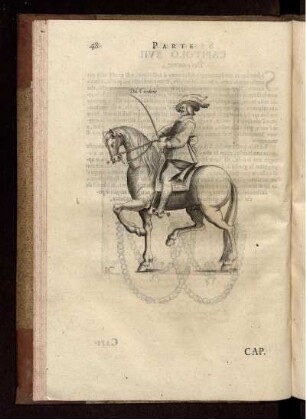 Del Cantone