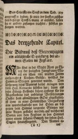 309-324, Das dreyzehende Capitel