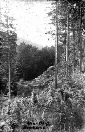 Beerenpflückerin am Alten Berg