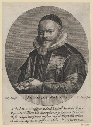 Bildnis des Antonius Walaeus