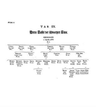 Tab. IIX. Dritte Taffel der schwartzen Linie.