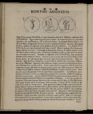 Hortus Adonidis