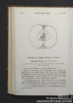 Nr. 64. Reinette von Breda, Reinette de Breda.