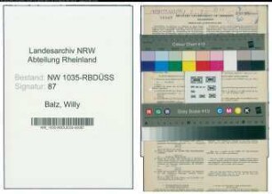 Entnazifizierung Willy Balz , geb. 10.11.1897 (Kaufmaennischer Direktor)