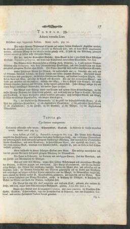 Tabula 39-41