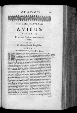 Liber VI. De Avibus Exoticis, Americanis inprimis